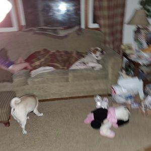 Meet your Posher, Cheryl